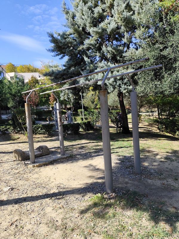 The parallel bars from the other side, with the fitness machines in the background.